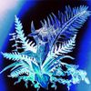 glass beach - orchids (playlist version)