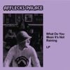 Afflecks Palace - What Do You Mean Its Not Raining