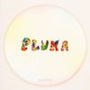 PLUMA - Revisitar