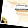 nothing perfect