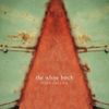 The White Birch - Star Is Just A Sun