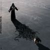 Mirrors - The Ego's Weight