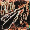 Cochise - CAUTIOUS