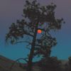 Sansibar - Sans Musique