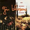 Gin Blossoms - New Miserable Experience