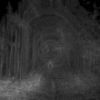 SPURME - No Core-$