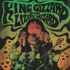bootleg gizzard - Live at Levitation '14