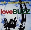 The Hummingbirds - loveBUZZ