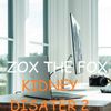 Zox The Fox - Kidney Disaster 2