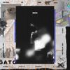 gato - BAECUL