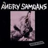 Angry Samoans - Inside My Brain