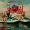 Lucho SSJ & C.R.O - Maldad