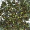 Aircode - Grounded