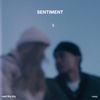 Said The Sky - Sentiment
