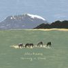 Herhums - Humming in Chaos