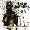 Anaal Nathrakh - When Fire Rains Down From the Sky, Mankind Will Reap as It Has Sown