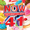 Various Artists - Now That's What I Call Music! 41
