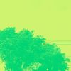 Verde Terra Prometida