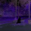 strxwberrymilk - Music for Awkward Dates