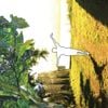 The Brave Little Abacus - Masked Dancers: concern in so many things you forget where you are