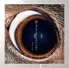 負け犬にアンコールはいらない [A Loser Doesn't Need an Encore]
