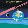 Moon Panda - What On Earth