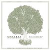Apparat - Silizium