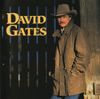 David Gates - Love Is Always Seventeen