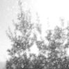 Chihei Hatakeyama - Void II