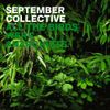 September Collective - All the Birds Were Anarchists