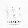 BRAHM - I try to rage against it
