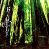 Bigelf - Hex