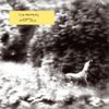 Syd Matters - Ghost Days