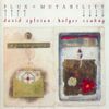 David Sylvian & Holger Czukay - Flux + Mutability
