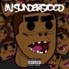 Polo - MISUNDERSTOOD