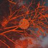 NARKOSIS - MACHINE ELVES / THE END OF ALL THINGS