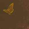 Matthew O'Callaghan - Butterfly