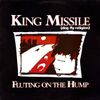 King Missile (Dog Fly Religion) - Fluting on the Hump
