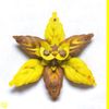 SEBii - VVYELLOW