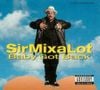 Sir Mix-a-Lot - Baby Got Back
