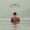 Sean Koch - Your Mind Is a Picture