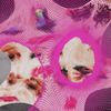Arca - KiCk: ThE cOmPlEtE cYcLe