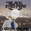 The Black Eyed Peas - I Gotta Feeling