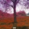 Lil Dza - unreleased dzems