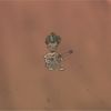 Satchy - July 15