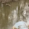 RINGEX PLASTER - 25.2: The River