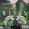 GAWNE - Wings