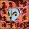 Louie Zong - K.K. Gizzard
