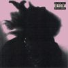 ROSÉ RABBIT - THE LETTER R SUCKS