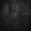 Rafael Anton Irisarri - Sacred Hatred